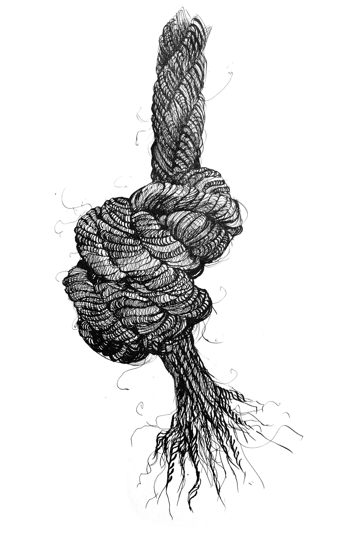 Drawing of a rope swing. (Artwork by Lucy Scott.)