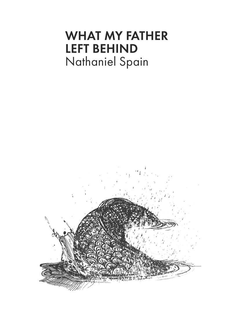 a tail in the water (artwork by Lucy Scott)